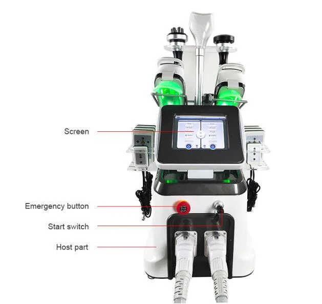 2022 Professional Cryo Body Shape Cryolipolysis Cavitation Slimming 9 Handles 360 Cryolipolysis Weight Loss Fat Freezing Slimming Liposunction Machine