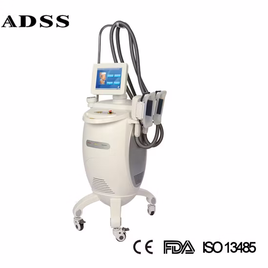 효과적인 Cryo 체중 감량 바디 슬리밍 기계